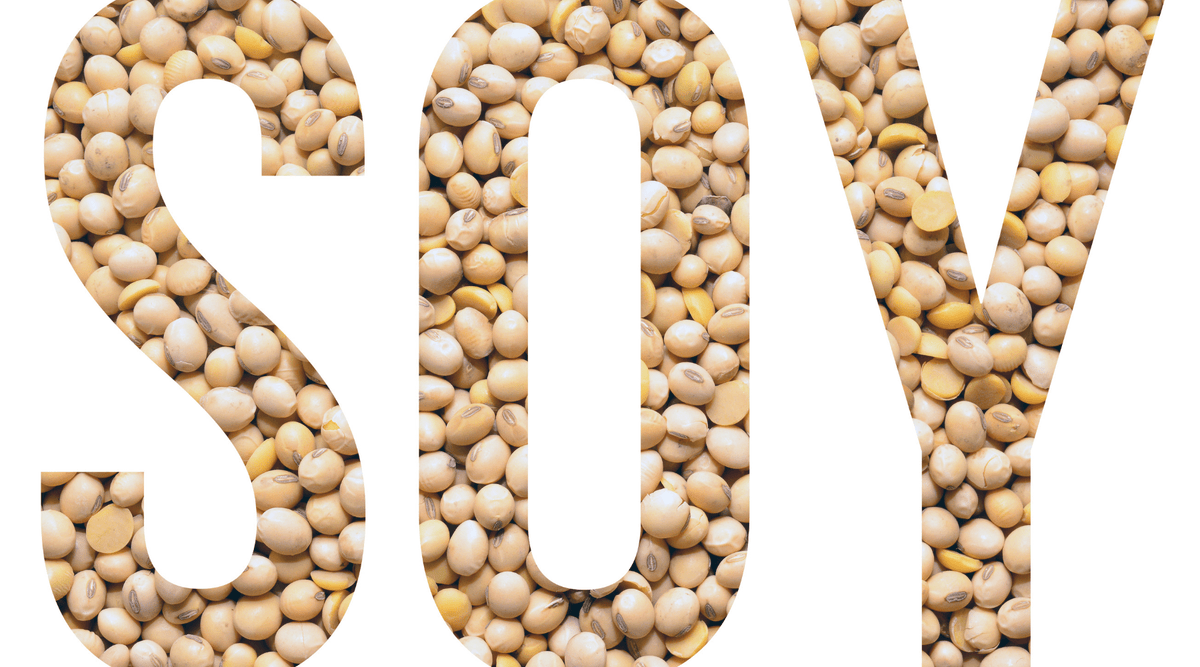 ¿Son saludables los alimentos de soja? ¡Descubramos la verdad!