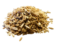 Fennel Seed Whole 1/4 lb - Country Life Natural Foods