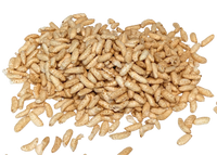 
                  
                    Organic Puffed Brown Rice - Country Life Natural Foods
                  
                