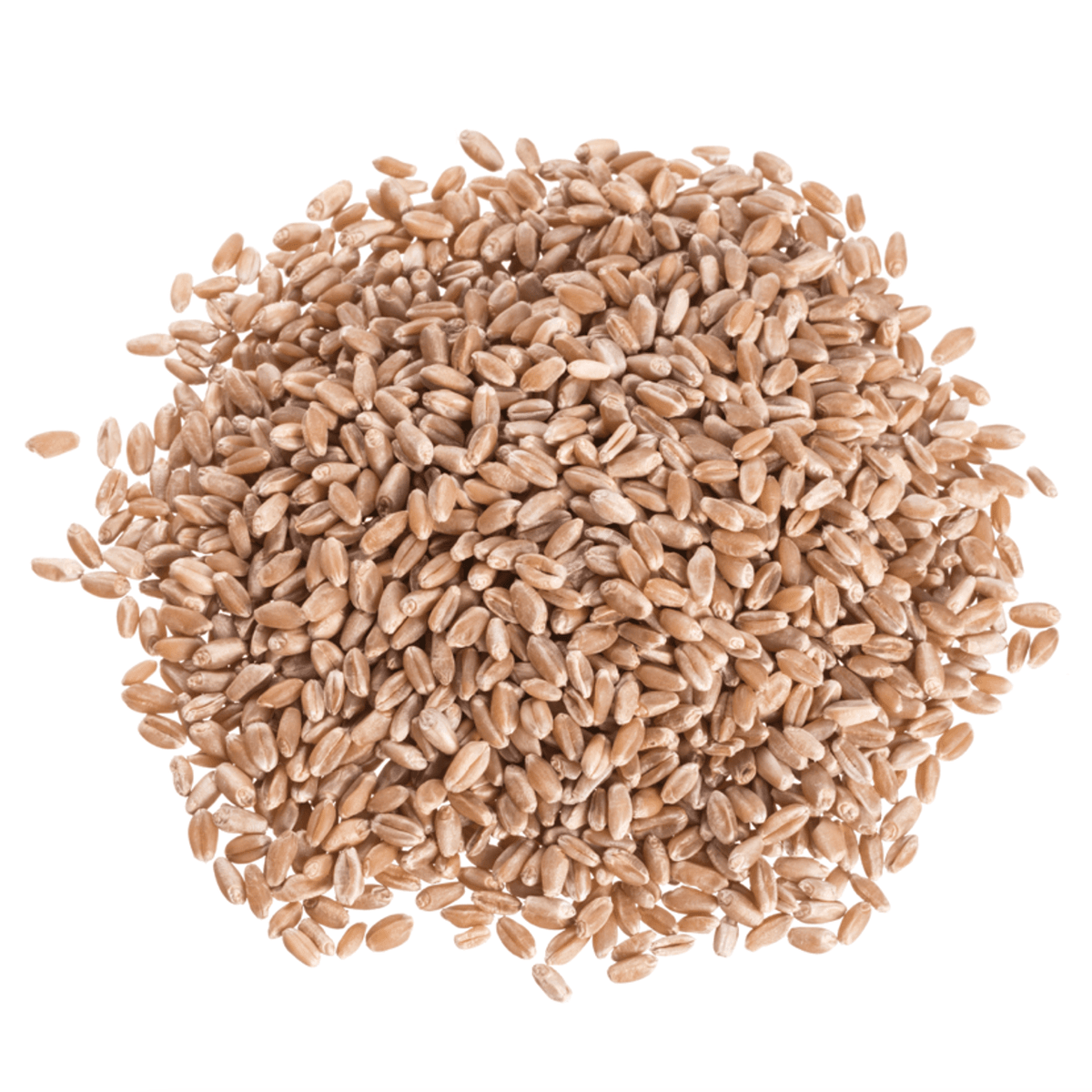 http://countrylifefoods.com/cdn/shop/products/country-life-natural-foods-grains-organic-wheat-berries-hard-red-25lb-34415231434936_1200x1200.png?v=1661212214