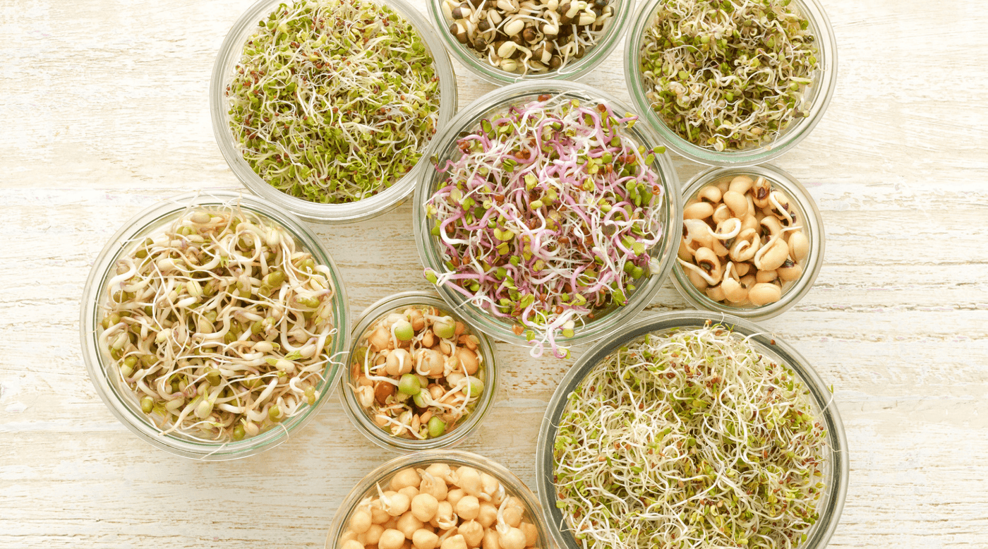 How To Grow Sprouts and 12 Of The Best Sprouts To Eat - Country Life Natural Foods