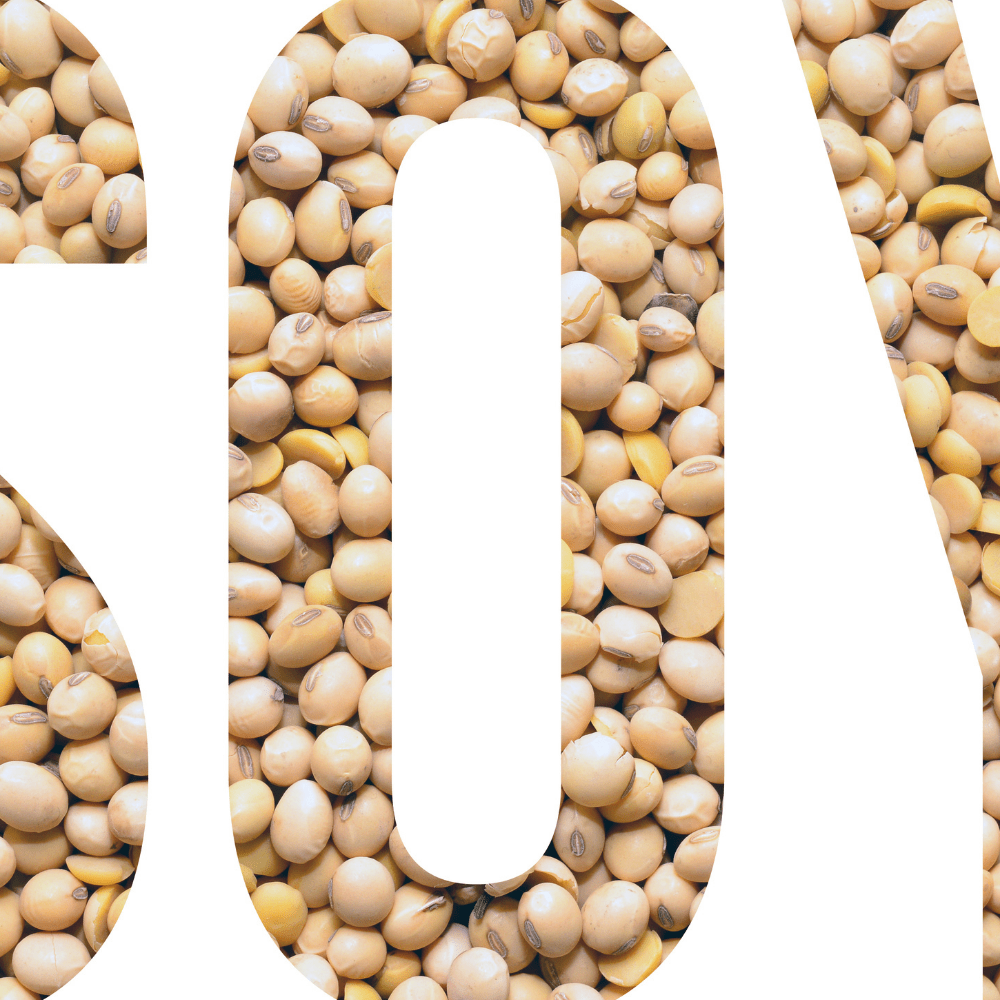 Are Soy Foods Healthy? Let's Discover The Truth!