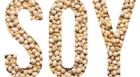 Are Soy Foods Healthy? Let's Discover The Truth!