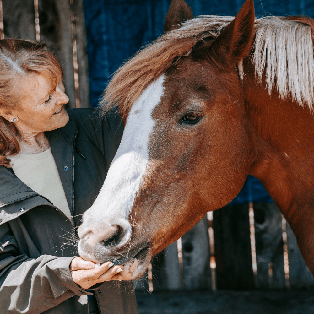 Can Animals Eat Grains? Tips for Your Dogs, Cats, and Farm Animals!