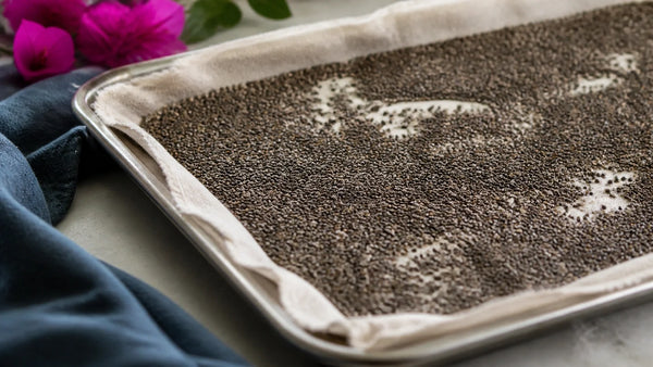Protein Chia Seed Pudding No Yogurt: Creamy & High Protein