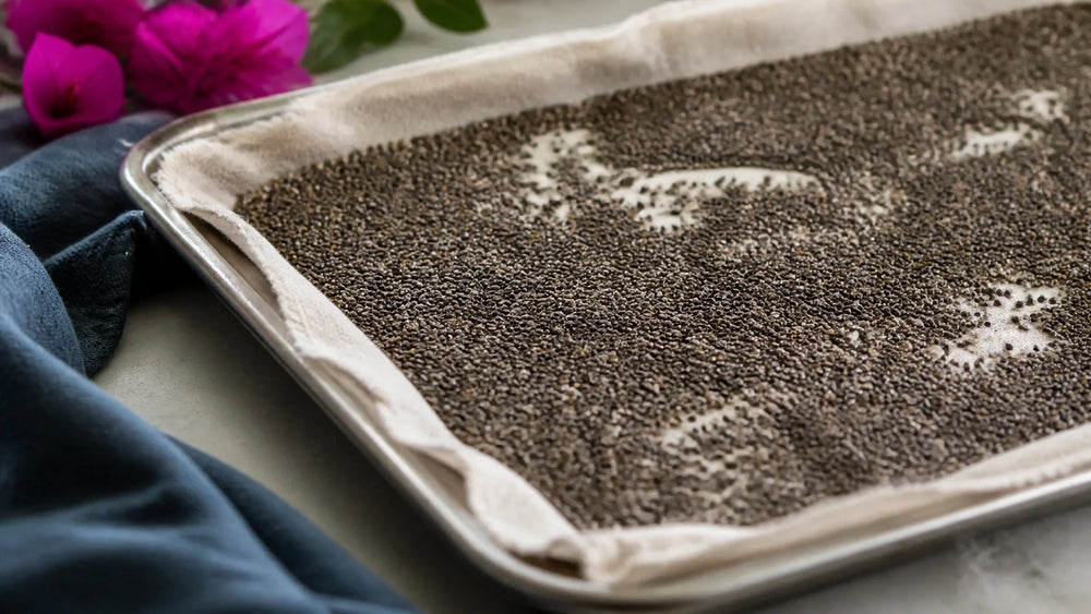 How Much Calories in Chia Seeds: A Practical Nutrition Guide
