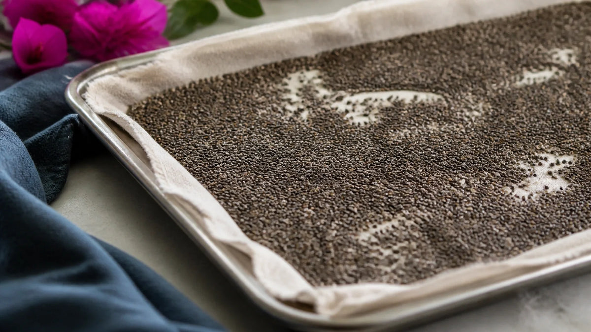 Protein Balls with Flaxseed and Chia Seeds: A Pantry Guide