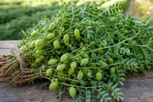 How Many Calories in 100g Chickpeas