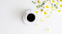 Time To Ditch Coffee? Coffee Alternatives For a Healthier, Energized Lifestyle