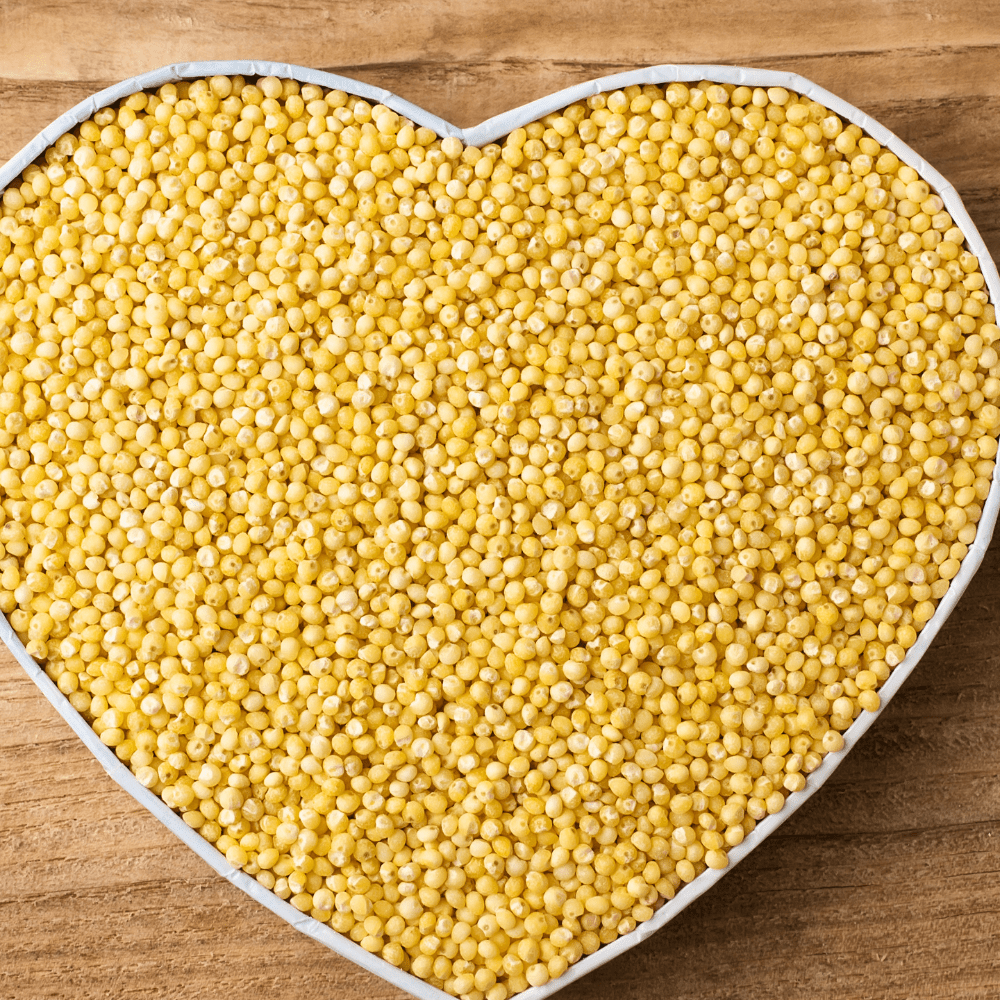 Why and How to Use Millet In Your Kitchen! - Country Life Natural Foods