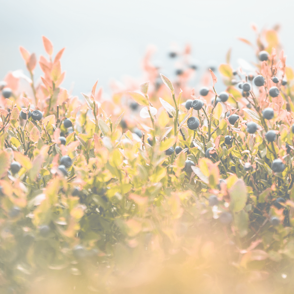 An Easier Health Journey With CLNF - Customer Testimonial