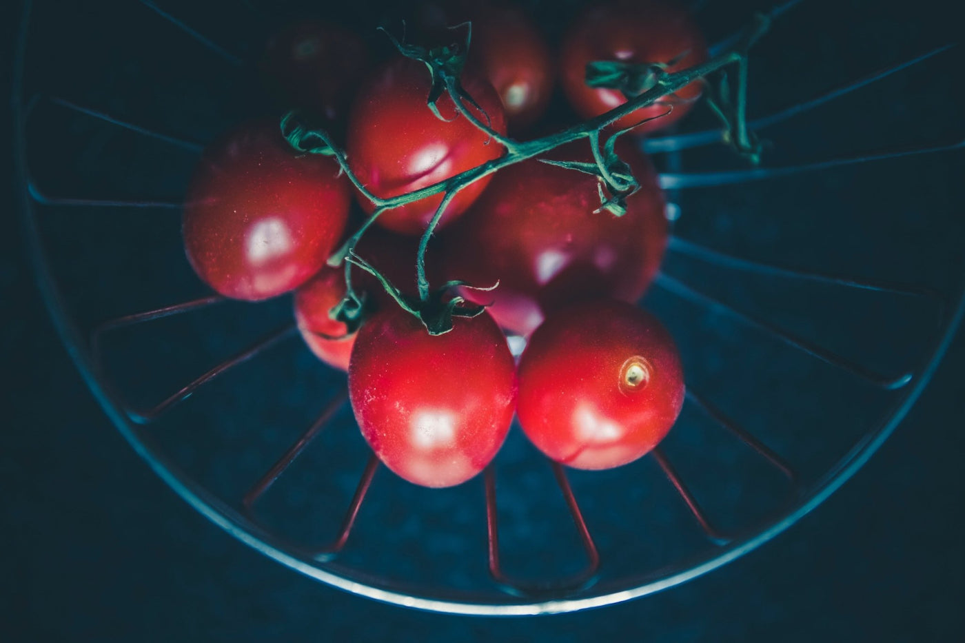 DIY Organic Pesticide Recipe - Country Life Natural Foods