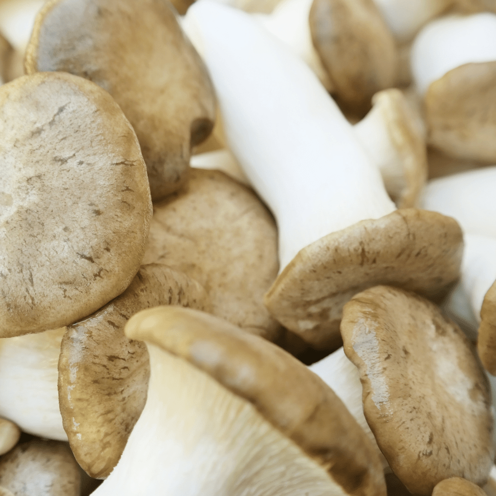 Exotic Mushrooms On The Menu: Discover Their Culinary And Medicinal Uses