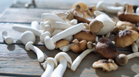 Exotic Mushrooms On The Menu: Discover Their Culinary And Medicinal Uses