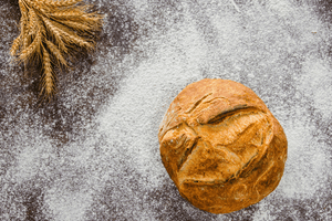 From Berries to Bread: A Beginner's Guide to Fresh Milled Flour