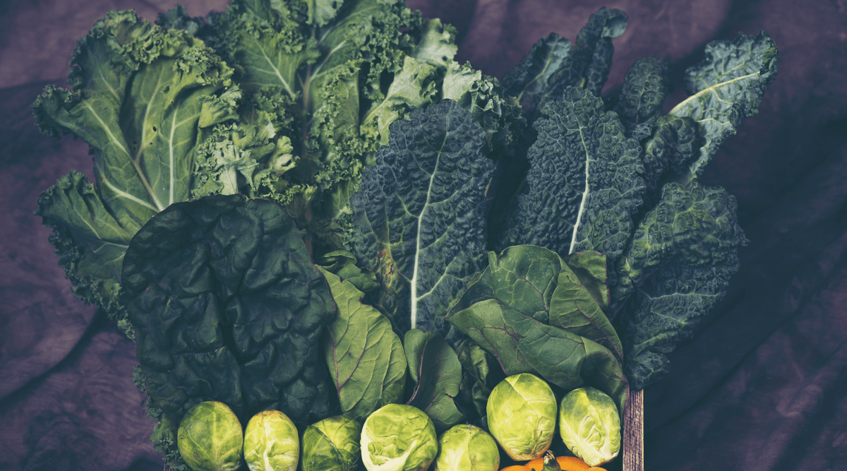 How To Grow Your Own Vegetables To Start Eating Healthier | Country ...