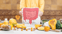 The Fundamentals of a Healthy Gut: Thriving from the Inside Out