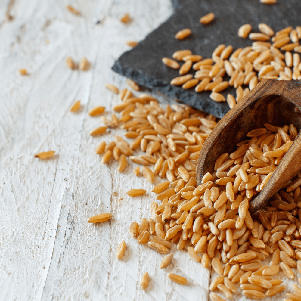 Kamut - Why You Need This Ancient Grain On Your Plate