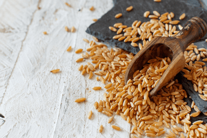 Kamut - Why You Need This Ancient Grain On Your Plate