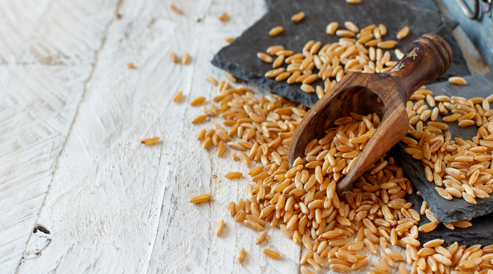 Kamut - Why You Need This Ancient Grain On Your Plate