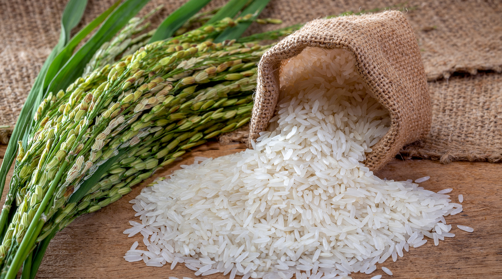 Choose The Best Organic Rice For Your Family And Tastebuds!