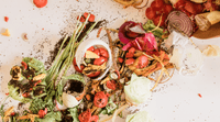 9 Ways To Reduce Your Food Waste For Sustainable Living