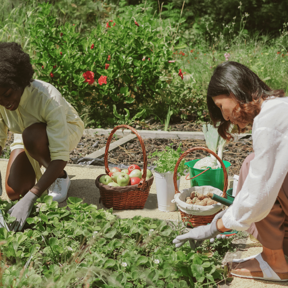 16 Practical Ways To Embrace Simplicity and Become More Self-Sufficient At Home