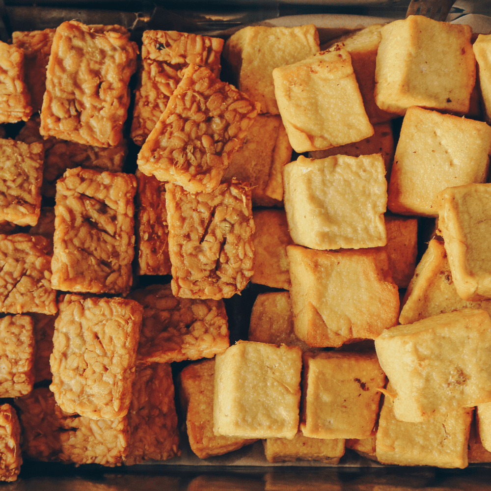 Tempeh vs. Tofu: Which Plant-Based Protein Reigns Supreme?