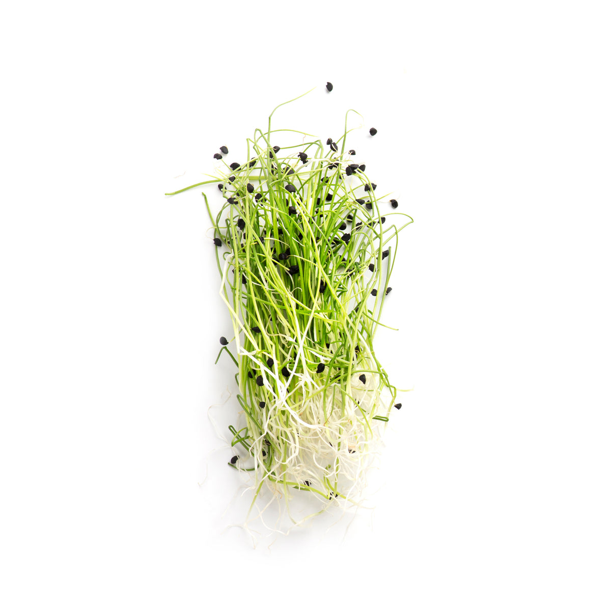 Why should I sprout?