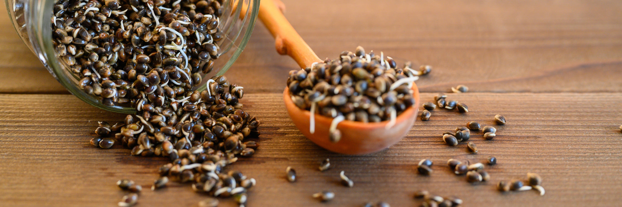 Country Life Natural Foods
