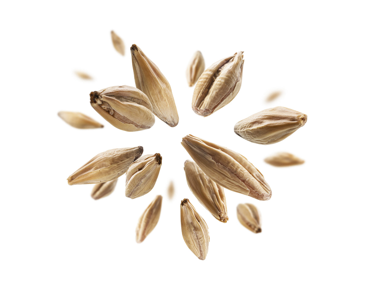 What is sprouting?