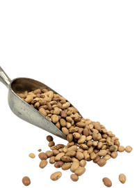 Bolita Beans - Country Life Natural Foods