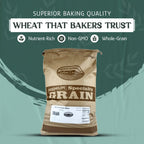 Wheat Berries, Bronze Chief (Red), Certified Glyphosate Free, Grains - Country Life Natural Foods