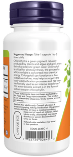 Chlorophyll 100 mg, Vitamins & Supplements - Country Life Natural Foods
