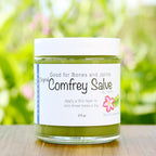 Herbal Comfrey Salve, Health & Beauty - Country Life Natural Foods