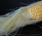 Cornsilk, Cut & Sifted, Herbs - Country Life Natural Foods