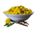Dandelion Root, Organic, Cut, Sifted, Herbs - Country Life Natural Foods