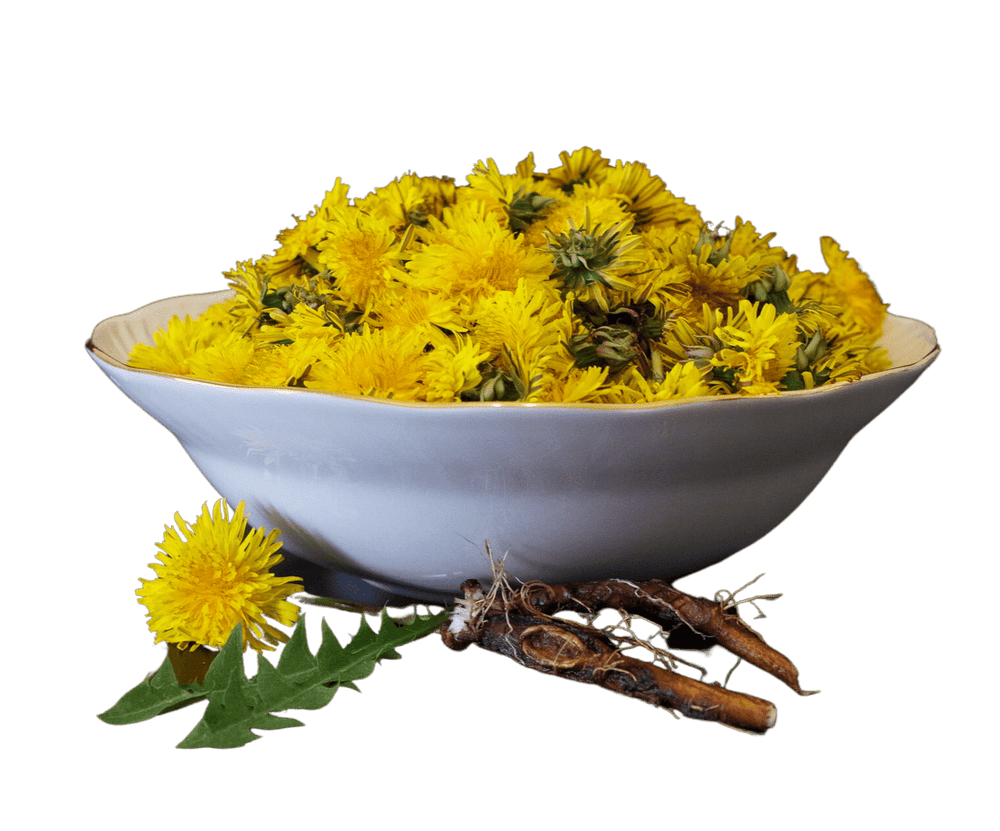 Dandelion Root, Organic, Cut, Sifted - Country Life Natural Foods