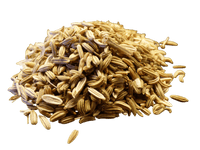 Fennel Seed, Whole - Country Life Natural Foods