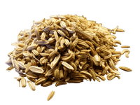 
                  
                    Fennel Seed, Whole - Country Life Natural Foods
                  
                