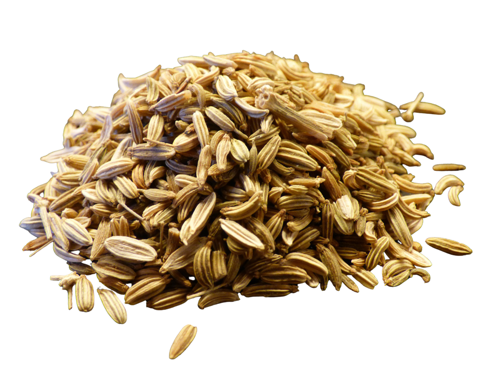 Fennel Seed Whole 1/4 lb - Country Life Natural Foods
