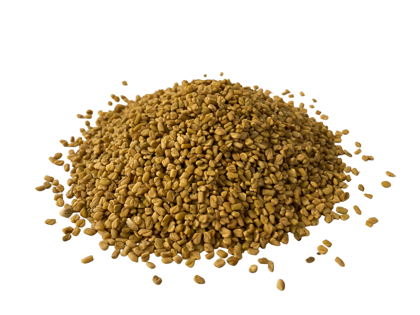 where to buy fenugreek seeds to plant Fenugreek Seed, Whole