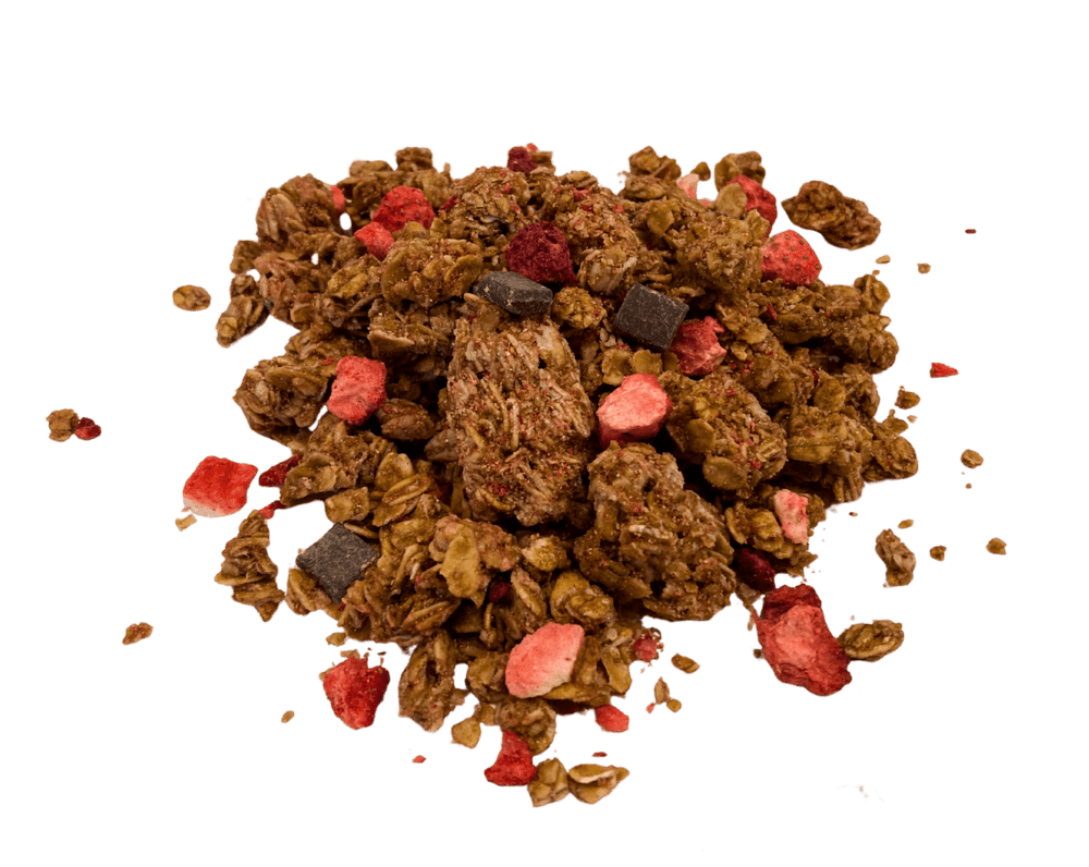 
                  
                    Granola, Dark Chocolate & Red Berries, Nature's Path - Country Life Natural Foods
                  
                