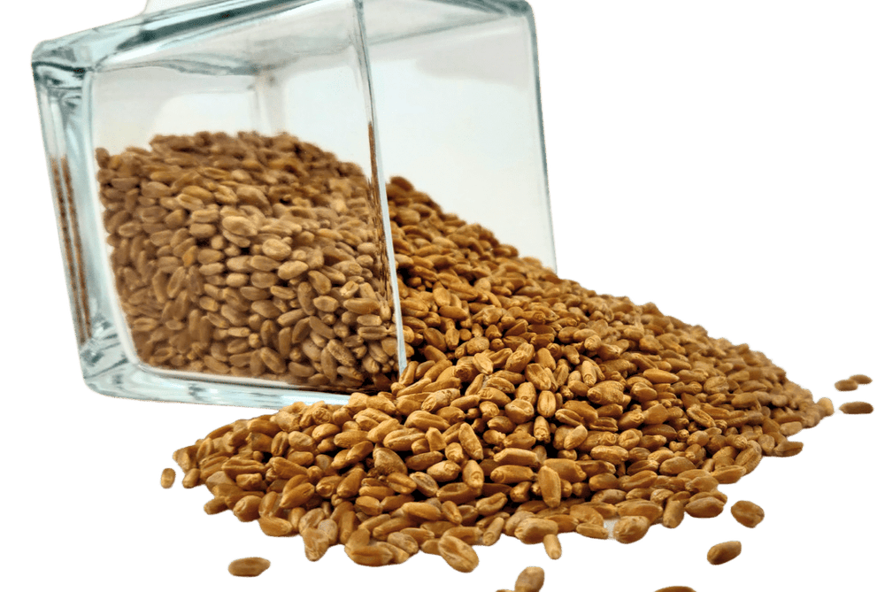 Wheat Berries, Hard Red, Winter Wheat - Country Life Natural Foods