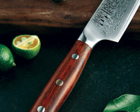 
                  
                    5" Damascus Utility Knife - Country Life Natural Foods
                  
                