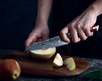 
                  
                    5" Damascus Utility Knife - Country Life Natural Foods
                  
                