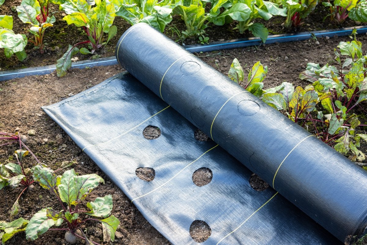 Quick-Plant Fabric — Weed Barrier, - Country Life Natural Foods