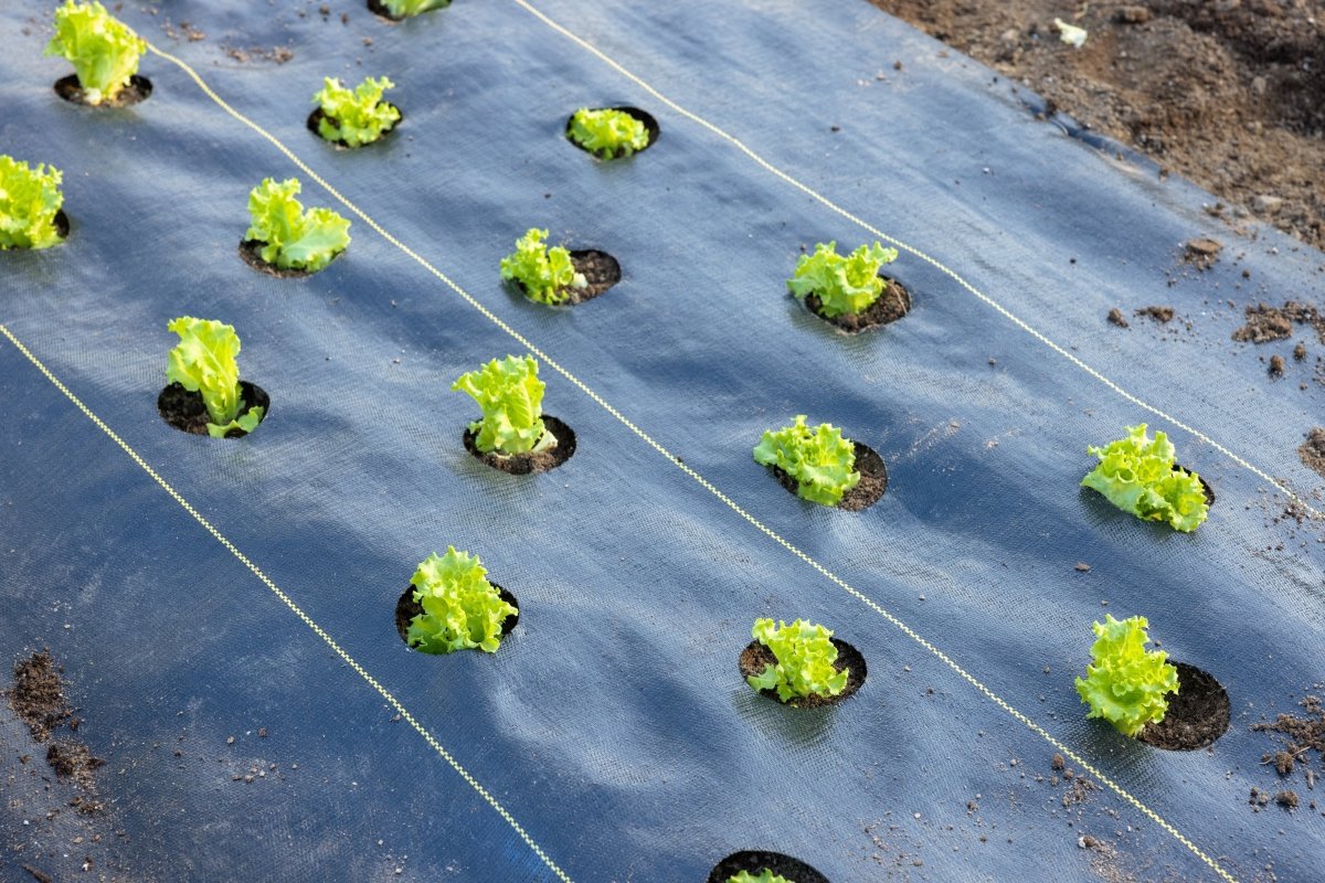 Quick-Plant Fabric — Weed Barrier, - Country Life Natural Foods
