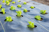 
                  
                    Quick - Plant Fabric — Weed Barrier - Country Life Natural Foods
                  
                