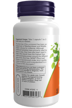 Olive Leaf Extract 500mg, Vitamins & Supplements - Country Life Natural Foods